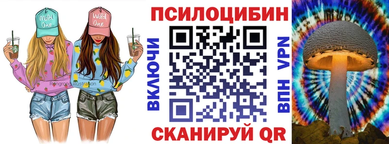 Псилоцибиновые грибы GOLDEN TEACHER  Кологрив 